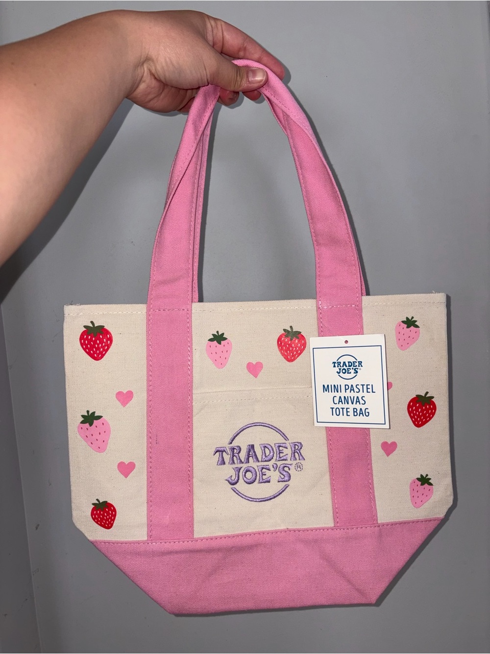 Customized Mini Pink Pastel Canvas Trader Joe’s Tote Bag - Picture 1 of 6